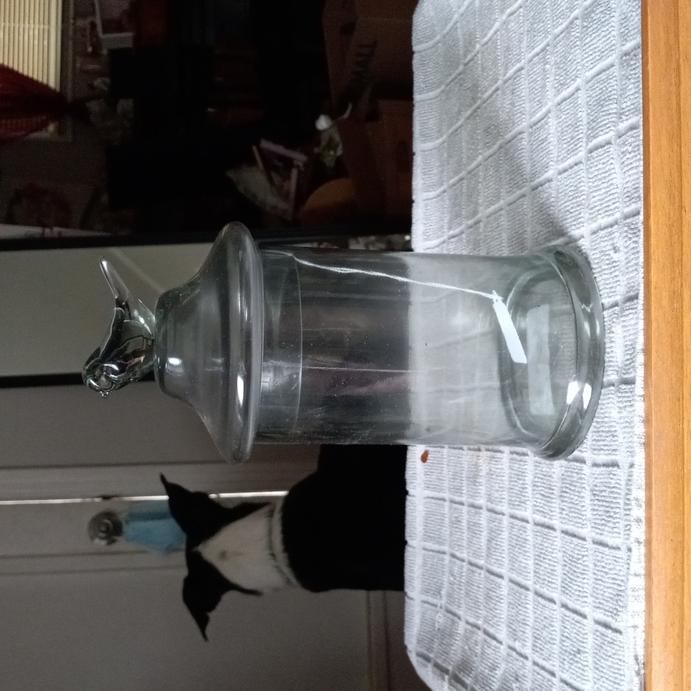 Large Vtg glass jar with bird.